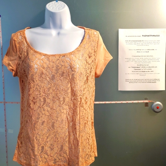 Beautiful Lace-Front, Solid Back and Sleeves, Office Casual S/S Top, Stretchy - Picture 2 of 10